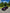 Purple car parked on a road with trees and blue sky in the background